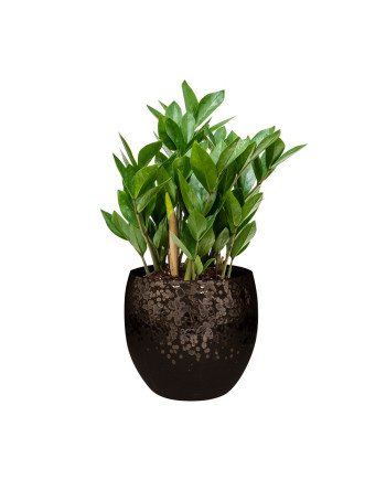 Keraminis vazonas KAE, apvalus, rudas, 23 x 20(A) cm