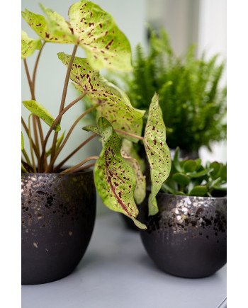 Keraminis vazonas KAE, apvalus, rudas, 23 x 20(A) cm