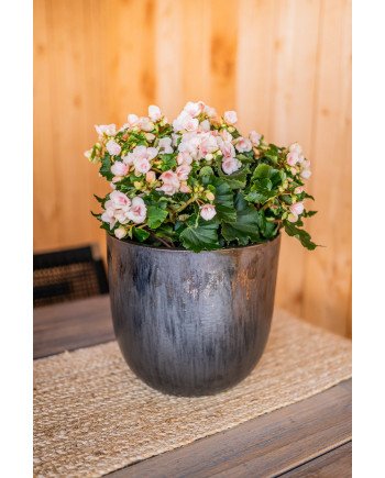 Keraminis vazonas SIYA, apvalus, juodas, 29 x 27(A) cm