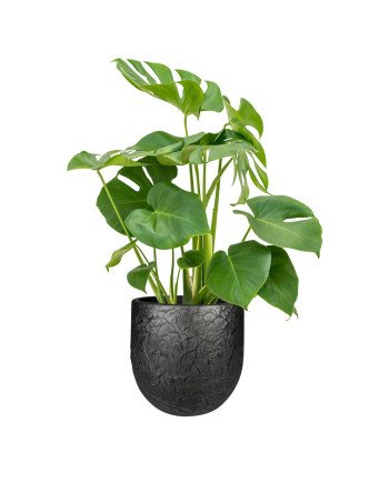 Keraminis vazonas EVI, apvalus, juodas, 15 x 13(A) cm