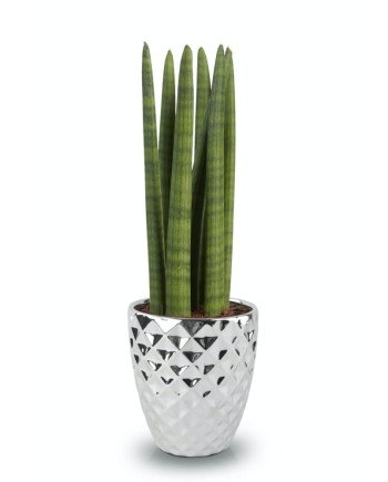 Keraminis vazonas MOON, apvalus, sidabrinis, 14 x 15(A) cm | Rik-Pot.eu