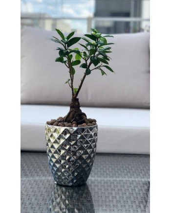 Keraminis vazonas MOON, apvalus, sidabrinis, 14 x 15(A) cm | Rik-Pot.eu