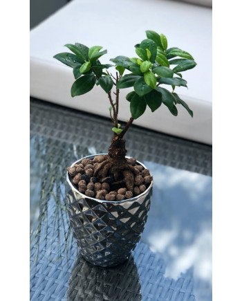 Keraminis vazonas MOON, apvalus, sidabrinis, 14 x 15(A) cm | Rik-Pot.eu