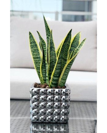 Keraminis vazonas MOON, kvardatinis, sidabrinis, 14 x 13(A) cm | Rik-Pot.eu