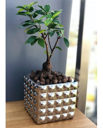 Keraminis vazonas MOON, kvardatinis, sidabrinis, 14 x 13(A) cm | Rik-Pot.eu