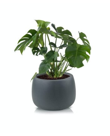 Keraminis vazonas ECOLITE, apvalus, tams.pilkas, 47 x 31(A) cm | Rik-Pot.eu