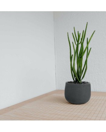 Keraminis vazonas ECOLITE, apvalus, tams.pilkas, 47 x 31(A) cm | Rik-Pot.eu