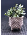 Keraminis vazonas VINTAGE, apvalus, kreminis, 16 x 14(A) cm | Rik-Pot.eu