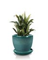 Keraminis vazonas GLAZED, apvalus, su lėkštele, turkio, 23 x 19(A) cm | Rik-Pot.eu