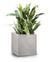 Keraminis vazonas ECOLITE, kvadratinis, smėlinis, 25 x 25(A) cm | Rik-Pot.eu