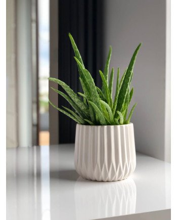 Keraminis vazonas BARCELONA, apvalus, baltas, 16 x 13(A) cm | Rik-Pot.eu