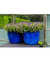 Keraminis vazonas GLAZED, apvalus, su lėkštele, mėlynas, 32 x 26(A) cm | Rik-Pot.eu