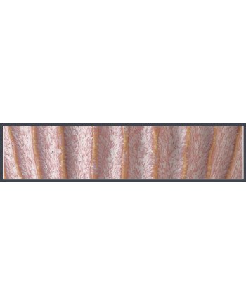 Keraminis vazonas NOLANA, apvalus, rožinis, 18,5 x 16(A) cm | Rik-Pot.eu