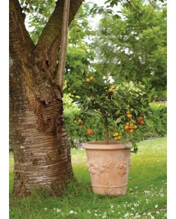 Keraminis vazonas TUSCAN, apvalus, rudas, 55 x 54(A) cm | Rik-Pot.eu