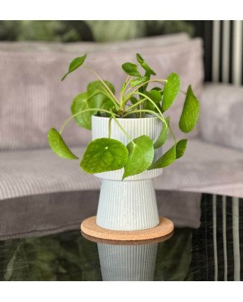 Keraminis vazonas BARCELONA, apvalus, pilkas, 14 x 22(A) cm | Rik-Pot.eu