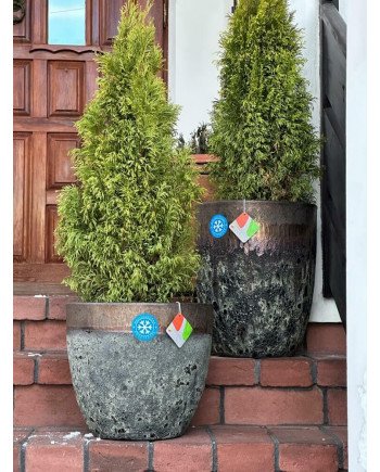 Keraminis vazonas ATLANTIS, apvalus, auksinis/žalias, 25 x 30(A) cm | Rik-Pot.eu