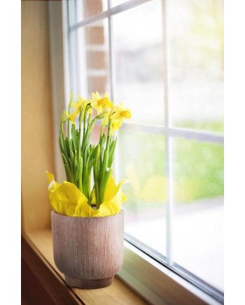 Keraminis vazonas LA QUEMADA, apvalus, rudas, 12 x 12(A) cm | Rik-Pot.eu