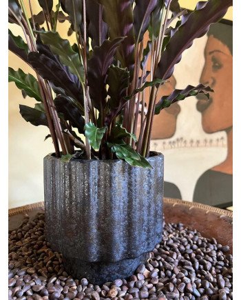 Keraminis vazonas LA QUEMADA, apvalus, juodas, 21 x 23(A) cm | Rik-Pot.eu