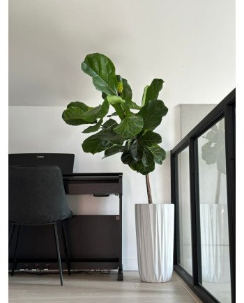 Keraminis vazonas MOOD, apvalus, baltas, 37 x 59(A) cm | Rik-Pot.eu