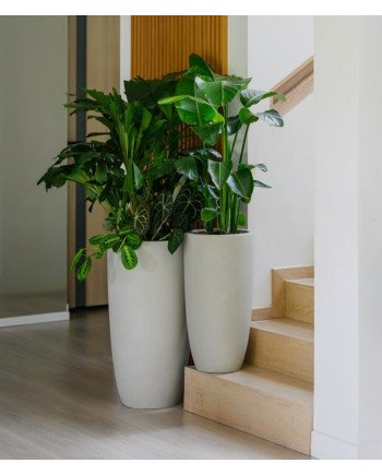 Keraminis vazonas ECOLITE, apvalus, smėlinis, 55 x 100(A) cm | Rik-Pot.eu